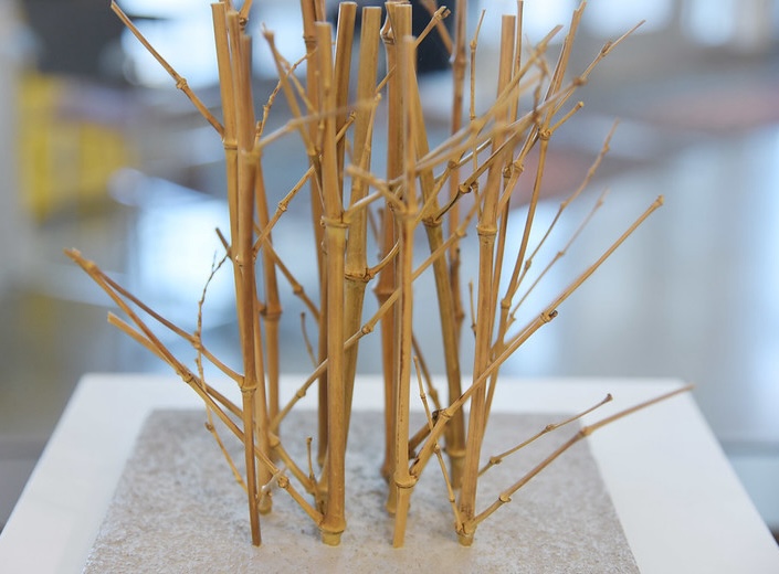 Bamboo and Haiku art exhibition. Bamboo and Haiku art exhibition.